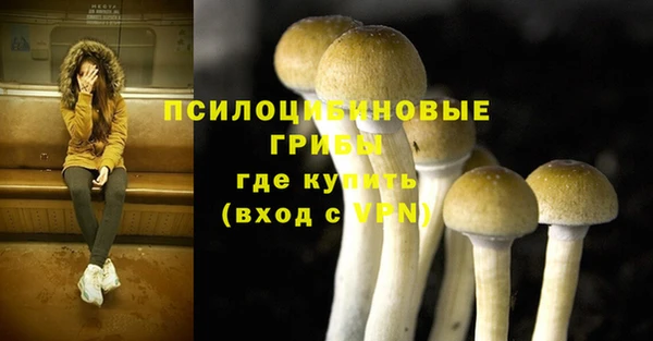 PSILOCYBIN Гусев