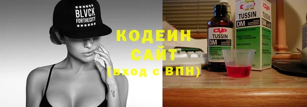 apvp Няндома