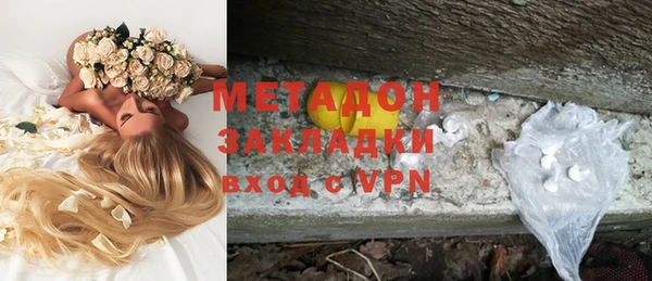 прущие грибы Кадников