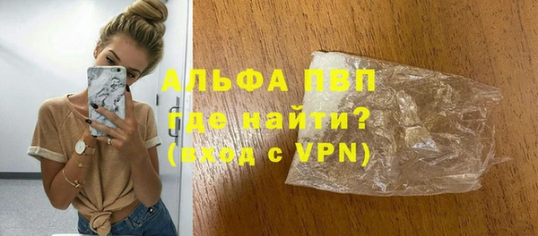 прущие грибы Кадников